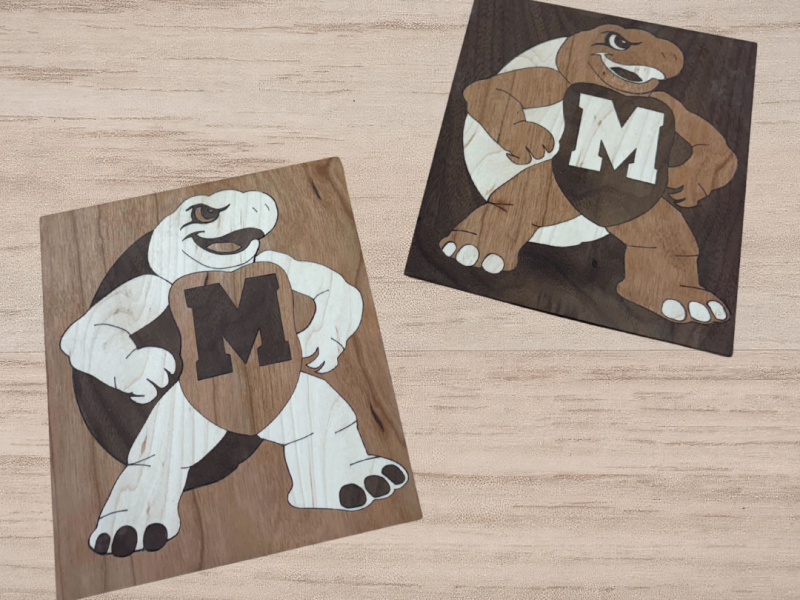 Example of our Testudo Marquetry (wooden Testudo)
