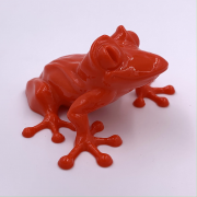 Smooth Frog