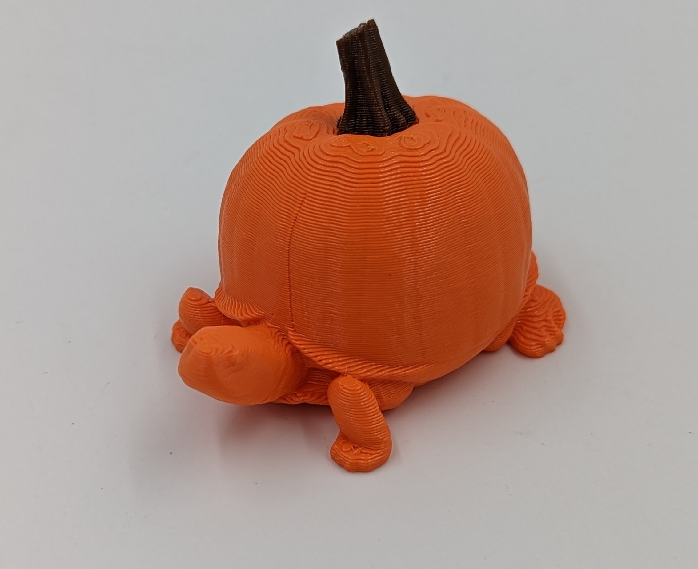 A terrapin with a pumpkin instead of a shell, 3D printed in orange filament, with a brown stem.